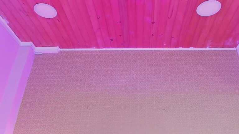 KatieeGomez's Streamate show and profile