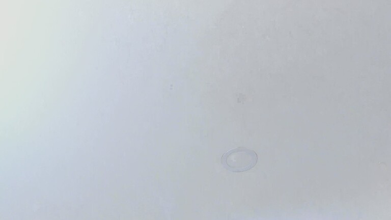 TaniaKatts's Streamate show and profile