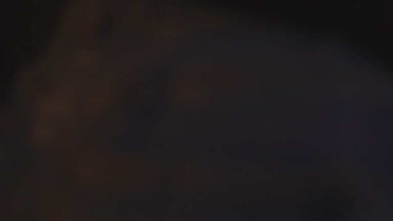 LanaJons's Streamate show and profile