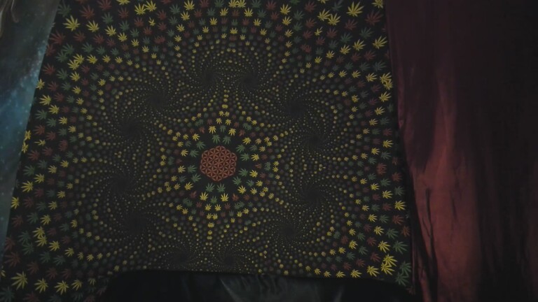 Ladyluvxo's Streamate show and profile